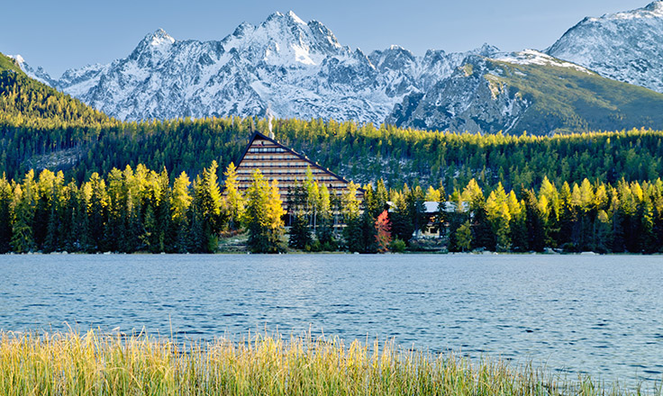 Slovakia Announces an International Public Tender for the Service Metadata Provider