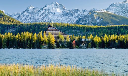 Slovakia Announces an International Public Tender for the Service Metadata Provider